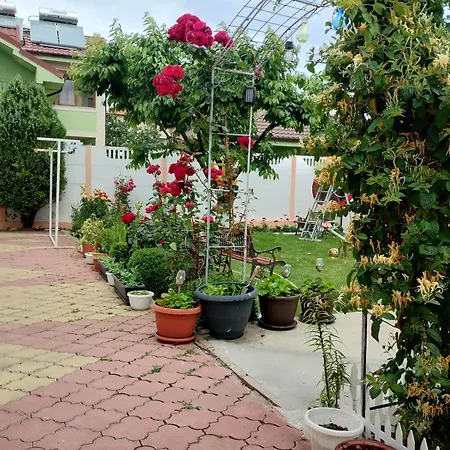 Casa Georgeta 2 Mai-punct Gastronomic Local-arome Dobrogene Δωμάτια σε οικογενειακή κατοικία