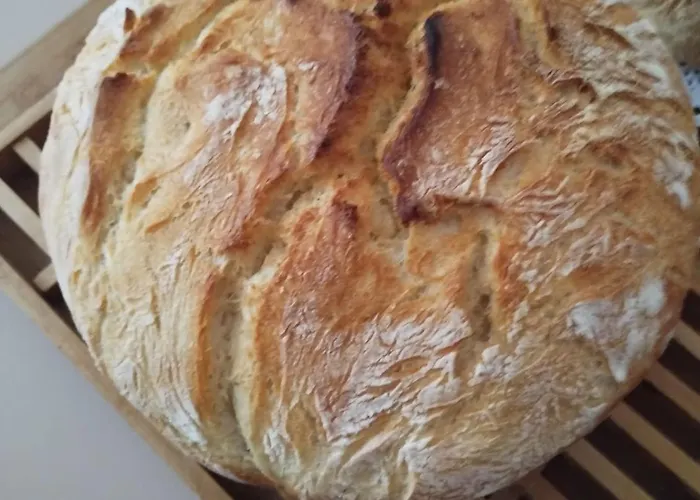 Casa Georgeta 2 Mai-punct Gastronomic Local-arome Dobrogene