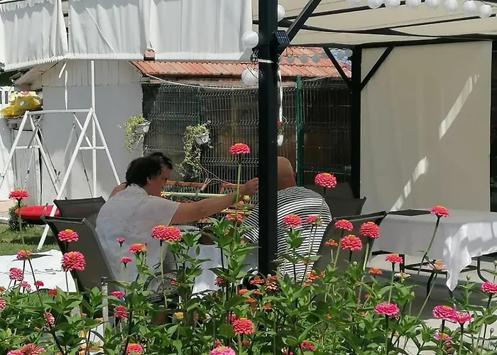 Δωμάτια σε οικογενειακή κατοικία Casa Georgeta 2 Mai-punct Gastronomic Local-arome Dobrogene *