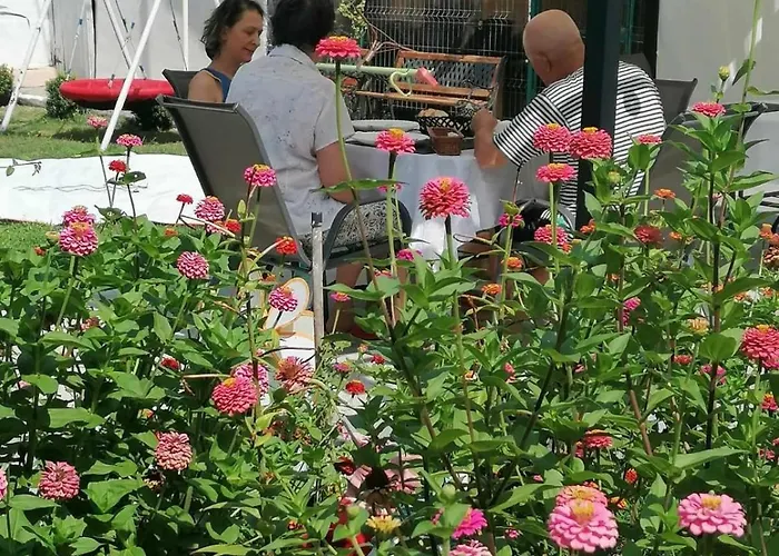 Δωμάτια σε οικογενειακή κατοικία Casa Georgeta 2 Mai-punct Gastronomic Local-arome Dobrogene Două Mai