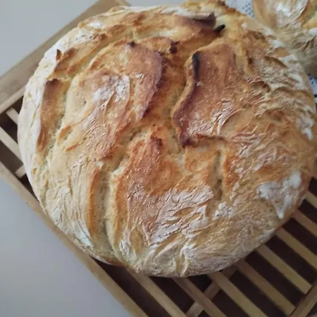 Casa Georgeta 2 Mai-punct Gastronomic Local-arome Dobrogene