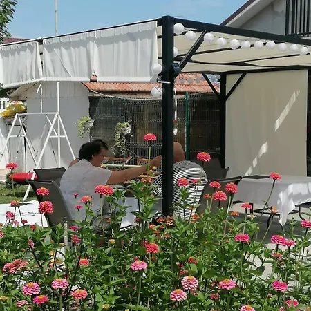 Δωμάτια σε οικογενειακή κατοικία Casa Georgeta 2 Mai-punct Gastronomic Local-arome Dobrogene *