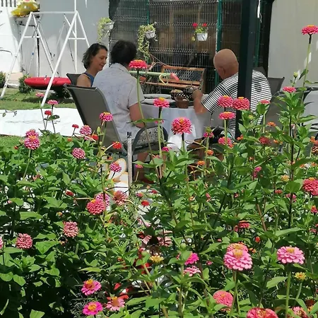 홈스테이 Casa Georgeta 2 Mai-punct Gastronomic Local-arome Dobrogene Două Mai